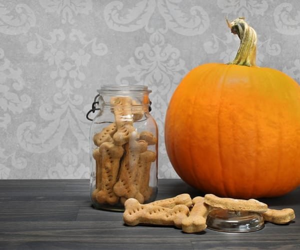 cooking with pumpkins